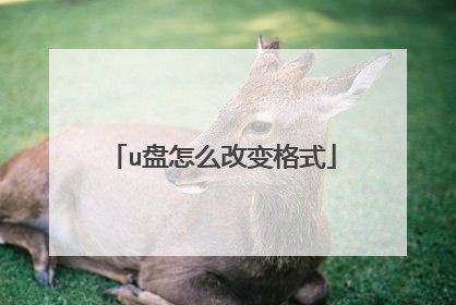 u盘怎么改变格式