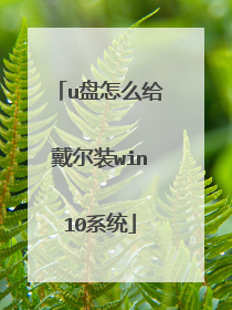 u盘怎么给戴尔装win10系统