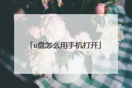 u盘怎么用手机打开
