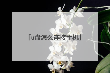 u盘怎么连接手机