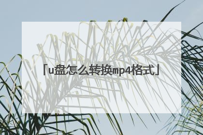 u盘怎么转换mp4格式
