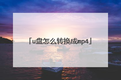 u盘怎么转换成mp4