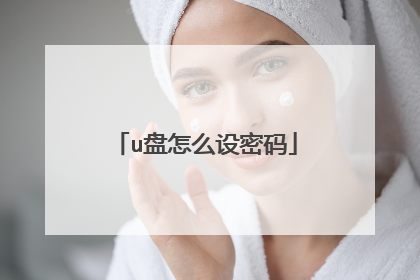 u盘怎么设密码