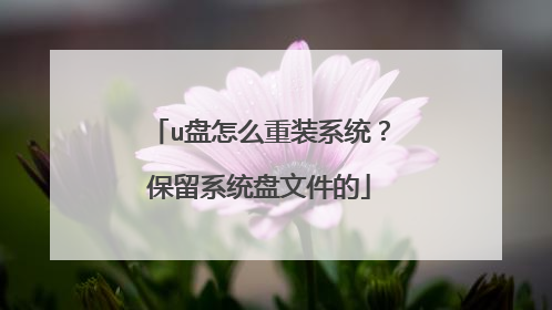 u盘怎么重装系统？保留系统盘文件的
