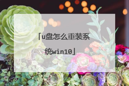 u盘怎么重装系统win10