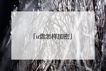 u盘怎样加密