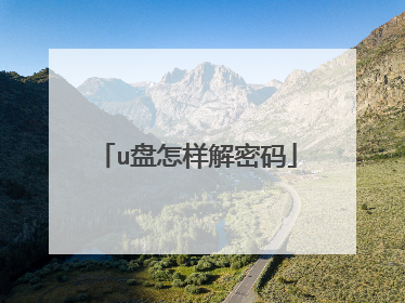 u盘怎样解密码