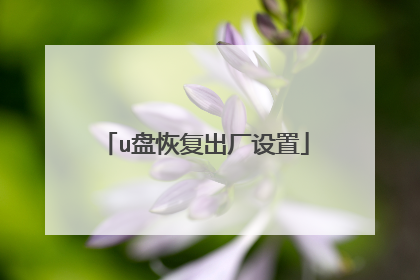 u盘恢复出厂设置