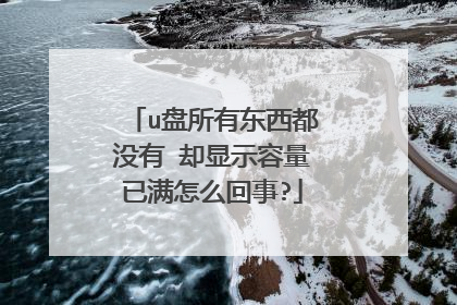 u盘所有东西都没有 却显示容量已满怎么回事?
