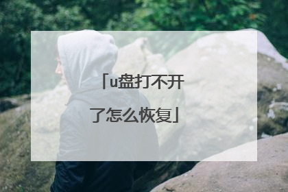 u盘打不开了怎么恢复