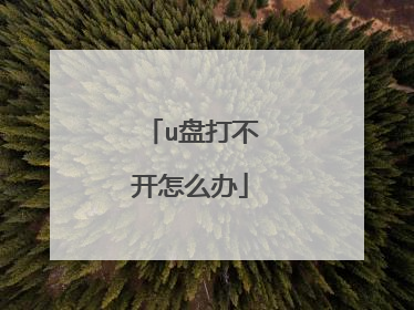 u盘打不开怎么办