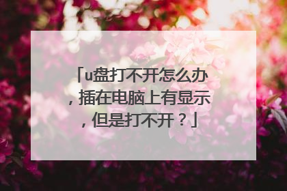 u盘打不开怎么办,插在电脑上有显示,但是打不开?