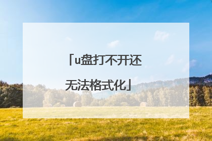 u盘打不开还无法格式化