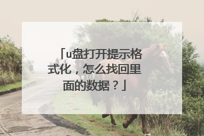 u盘打开提示格式化,怎么找回里面的数据?