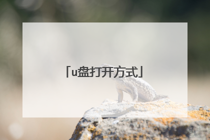 u盘打开方式