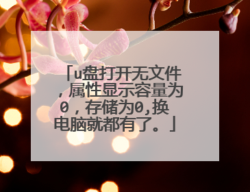 u盘打开无文件，属性显示容量为0，存储为0,换电脑就都有了。