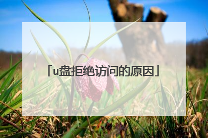 u盘拒绝访问的原因