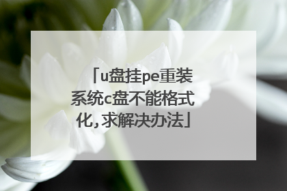 u盘挂pe重装系统c盘不能格式化,求解决办法