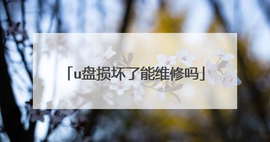 u盘损坏了能维修吗