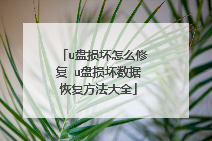 u盘损坏怎么修复 u盘损坏数据恢复方法大全