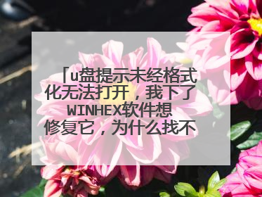 u盘提示未经格式化无法打开,我下了WINHEX软件想修复它,为什么找不到步骤中提示的55AA。