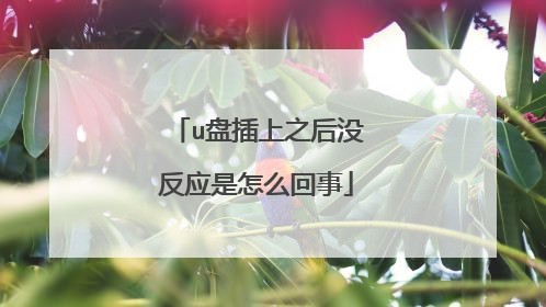 u盘插上之后没反应是怎么回事