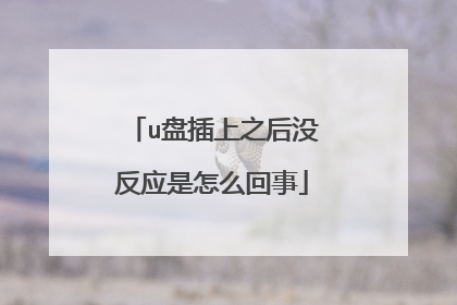 u盘插上之后没反应是怎么回事