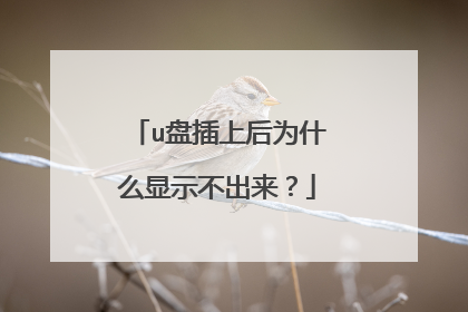 u盘插上后为什么显示不出来?