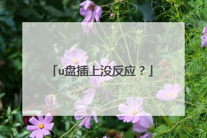 u盘插上没反应?