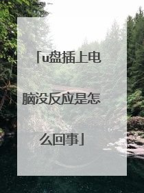 u盘插上电脑没反应是怎么回事