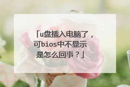 u盘插入电脑了，可bios中不显示是怎么回事？