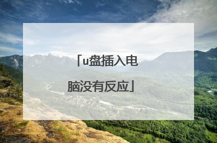 u盘插入电脑没有反应