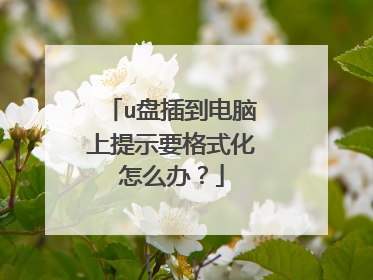 u盘插到电脑上提示要格式化怎么办?
