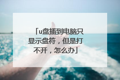u盘插到电脑只显示盘符,但是打不开,怎么办