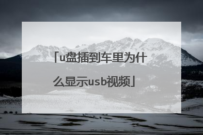 u盘插到车里为什么显示usb视频