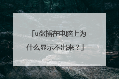 u盘插在电脑上为什么显示不出来?