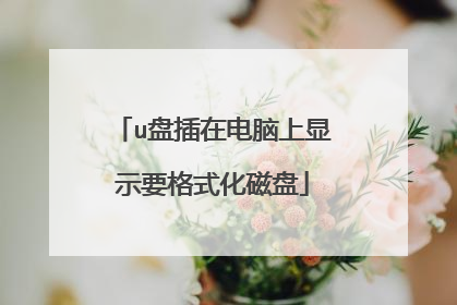 u盘插在电脑上显示要格式化磁盘