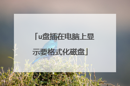 u盘插在电脑上显示要格式化磁盘