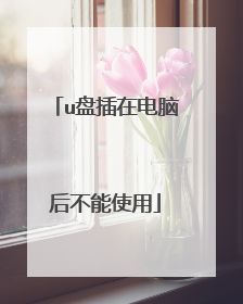 u盘插在电脑后不能使用