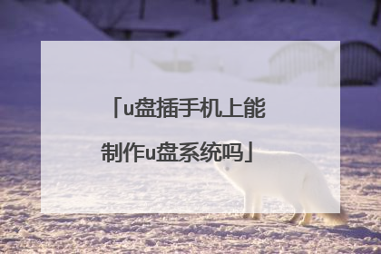 u盘插手机上能制作u盘系统吗