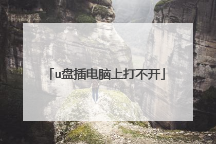 u盘插电脑上打不开
