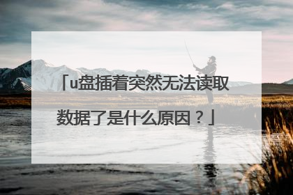 u盘插着突然无法读取数据了是什么原因?