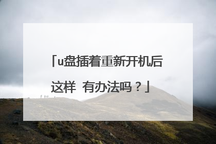 u盘插着重新开机后这样 有办法吗？