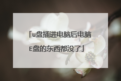 u盘插进电脑后电脑E盘的东西都没了