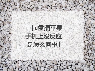 u盘插苹果手机上没反应是怎么回事