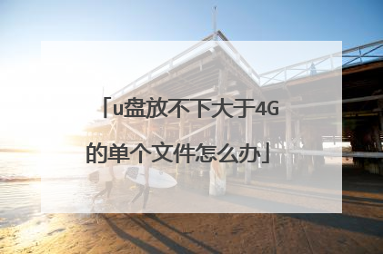 u盘放不下大于4G的单个文件怎么办