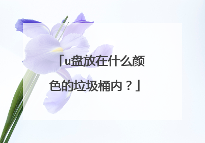 u盘放在什么颜色的垃圾桶内?