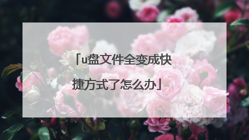 u盘文件全变成快捷方式了怎么办
