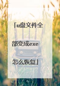 u盘文件全部变成exe怎么恢复