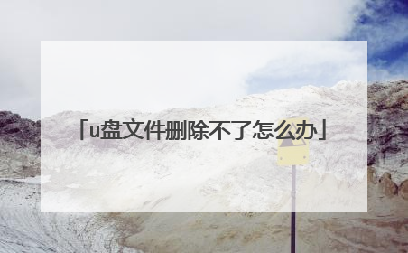 u盘文件删除不了怎么办